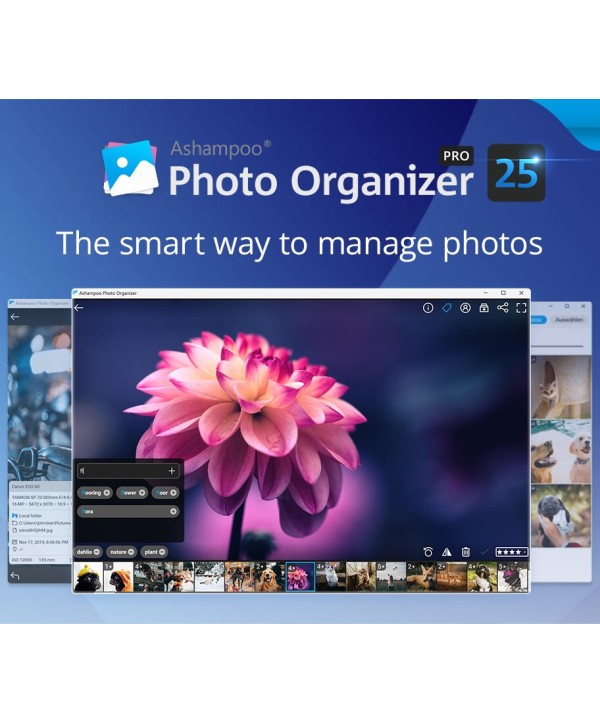 Ashampoo Photo Organizer Pro 25 Lifetime / 1 PC Key GLOBAL